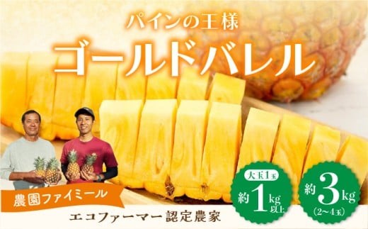 
                  【内容量が選べる】2027年 先行予約 完熟 ゴールドバレル 大玉 1玉 (1.0kg以上) または 約3kg 2～4玉入り 最高級 パイン 果物 フルーツ
                