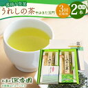 【ふるさと納税】【3回定期便】一番摘み茶葉使用 うれしの茶 2本入（やぶきた 玉門 100g×2本） /お茶の深香園[UAF007] 茶 お茶 緑茶 茶葉