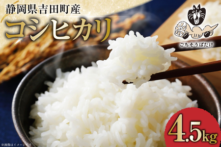 【期間限定発送】 米 令和7年 コシヒカリ 4.5kg [ご馳走畑 静岡県 吉田町 22424520]