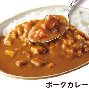 [いつもの味を、ご家庭で！] ココイチカレーBセット (ビーフ・ポーク各5個) ｜CoCo壱番屋 レトルトカレー レトルト 常温保存 備蓄 簡単調理 [0401]