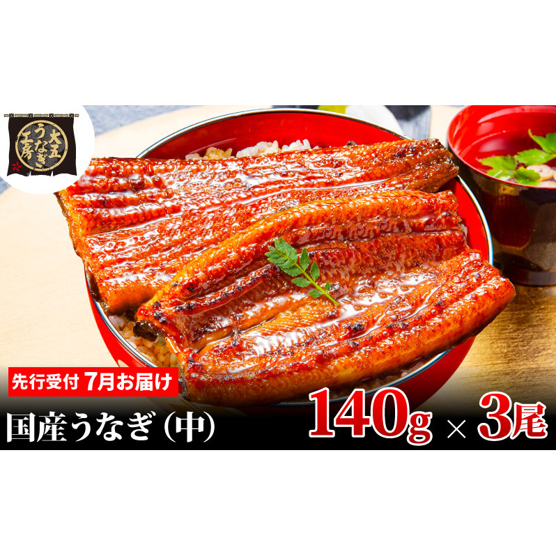 先行受付 【7月上旬配送】 うなぎ蒲焼 140g×3尾(420g) うなぎ 鰻 蒲焼 蒲焼き 大五通商 静岡 島田市