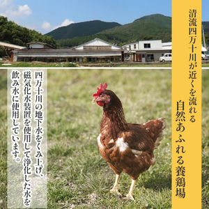 卵が苦手な子どもも食べられた！生臭くないおいしい卵 6個入×5P たまご 玉子 鶏卵 生卵 生たまご／Gbn-A03