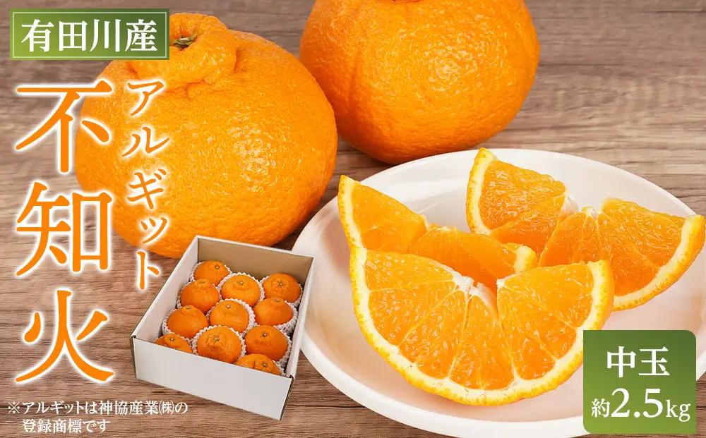 アルギット 不知火 約2.5kg 中玉 サイズ（11～12玉）しらぬい