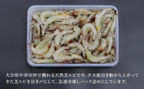 【期間・数量限定】天然芝エビ 500g×4(冷凍) 海老 エビ お歳暮 おせち 正月 クリスマス 大分県産 九州産 中津市