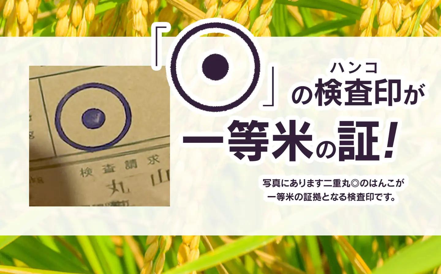【令和7年産】にじのきらめき 精米 5kg　山形県鶴岡市　庄内丸山農場　| 5キロ 米どころ 庄内米 ブランド米 米 コメ こめ 精米 ご飯 ごはん 美味しい 大粒 お取り寄せ 農家直送 お弁当 おに