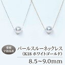 【ふるさと納税】 ペンダント パール スルー ネックレス 8.5-9.0mm ホワイトゴールド 土居真珠 真珠 アクセサリー ジュエリー パールネックレス アコヤ真珠 本真珠 ファッション 冠婚葬祭 慶事 結婚式 卒業式 入学式 お祝い ギフト 贈り物 特産品 愛媛 宇和島 A210-012014