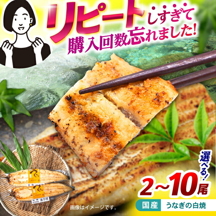 【ふるさと納税】【最速発送】＜諫早淡水＞うなぎ白焼き2~10尾 / うなぎ ウナギ 鰻 unagi 白焼き 白焼 国産 冷凍 小分け / 諫早市 / 活うなぎ問屋 諫早淡水 [AHAT011] 最短 最速 スピード 発送