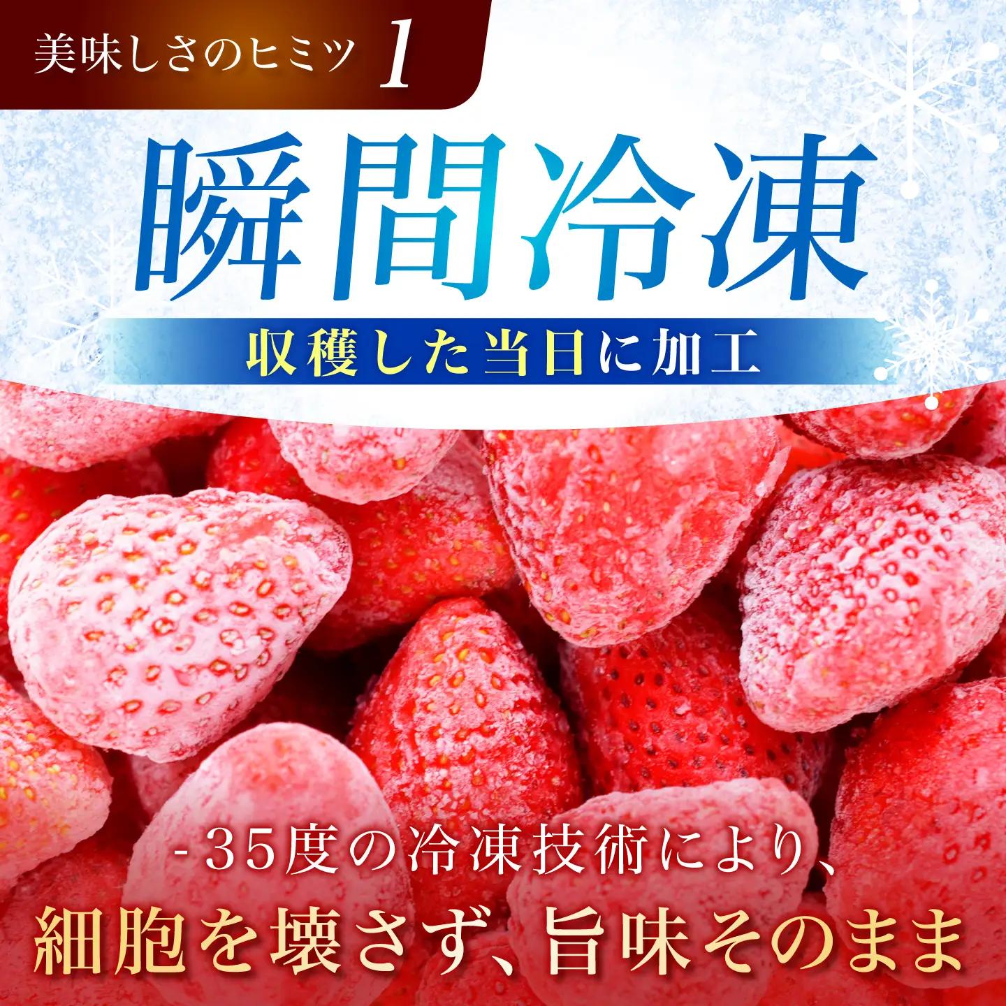 瞬間冷凍イチゴ / いちご イチゴ 冷凍 フローズン フルーツ 果物 ストロベリー / 多治見市 / 廿原ええのお[TCI005]