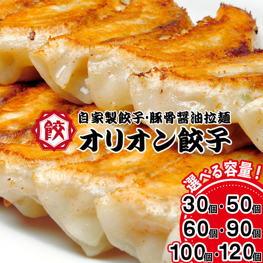 【ふるさと納税】【選べる内容量】オリオン餃子