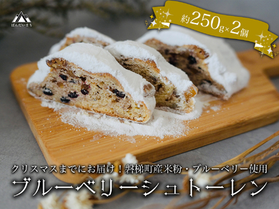 【クリスマスまでに発送】【先行予約】ブルーベリー シュトーレン （小） 250g前後×2個