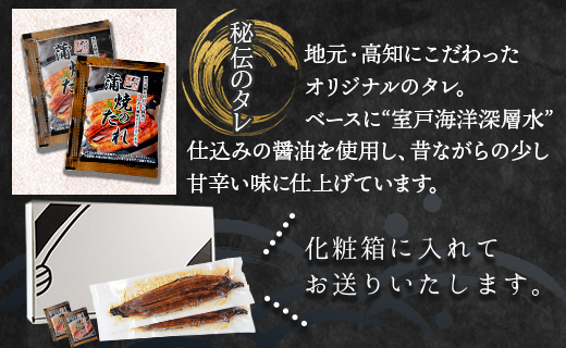 【３回定期便】高知県産養殖うなぎ蒲焼き 100～120g 2尾 Wfb-0038