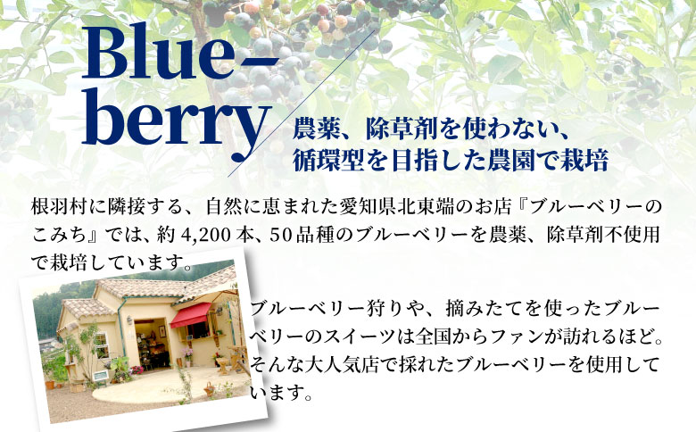 農薬・除草剤不使用！30品種をブレンドした ブルーベリー アイス(80ml)×7個入り