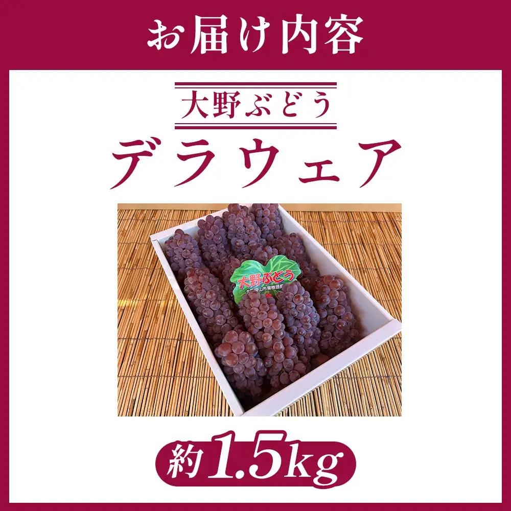 デラウェア 1.5kg【あずまぶどう園】 ／ 産地直送 ぶどう デラウェア フルーツ 旬 大野ぶどう 芳醇な香り とろける甘さ 高糖度 糖度23～24 国産フルーツ お取り寄せ 送料無料 No.374