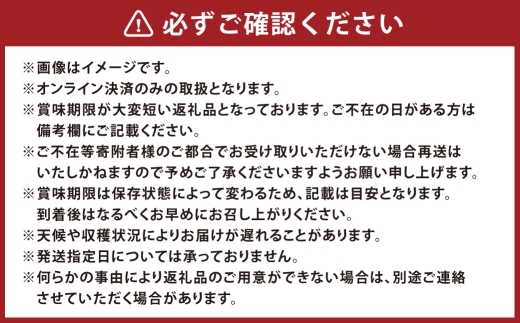 最高峰プレミアム 木熟ぶどう ハレノシャイン シャインマスカット晴王