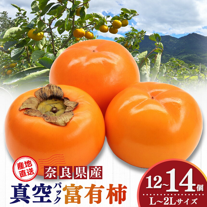 【ふるさと納税】 ※12//14申込まで年内発送可能！ 柿 貯蔵 富有柿 12 個～14 個 L～2L サイズ 年内発送可能 | 年内発送可能 お年賀 年内発送フルーツ くだもの 果物 柿 かき カキ 富有柿 奈良県 五條市