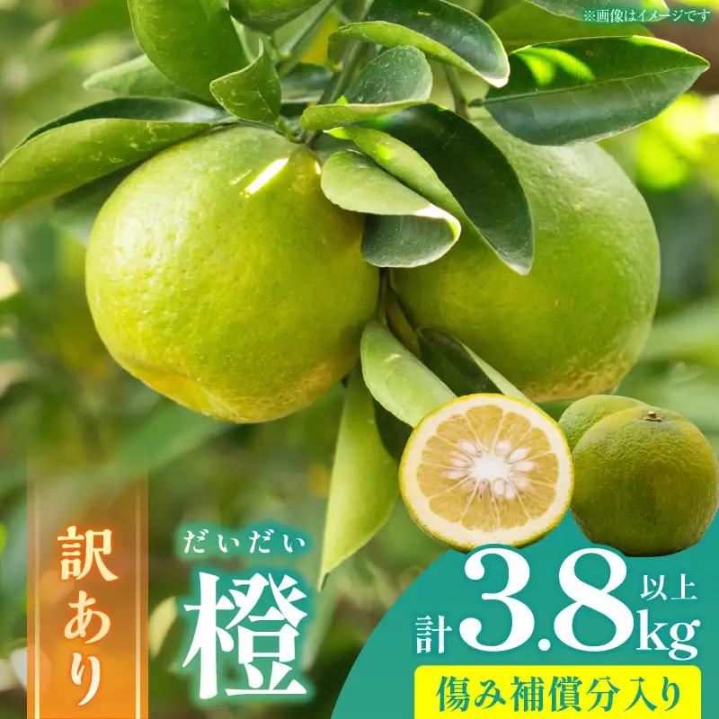 ≪訳あり≫ 橙 (だいだい) 計3.8kg以上 傷み補償分入り _ZZ35-26