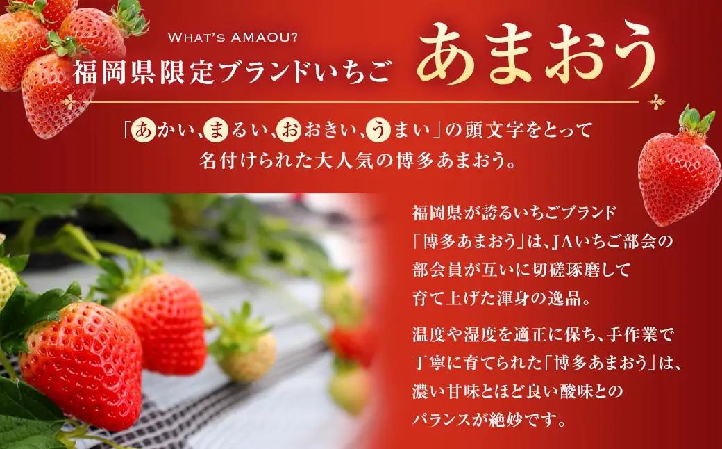 博多 あまおう 6パック（春）【2027年2月上旬～2027年4月下旬発送予定】