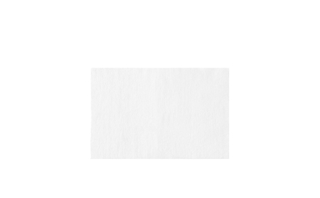 ペット用ウェットティッシュ 80枚入×24P DPWT ペット