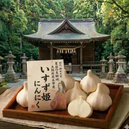 【訳あり】北摂茨木産 純国産 にんにく 500g【1758976】