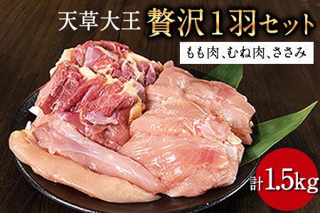 天草大王 贅沢1羽セット 約1.5kg【幻の地鶏】もも・むね・ささみ 各2枚《60日以内に出荷予定(土日祝除く)》