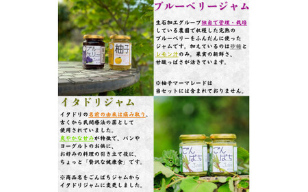 【手作り・無添加】「ふるさとの愛情詰め合わせ 食卓セット1」～ みそ・ジャム・焼肉のタレ ～  /調味料 味噌汁 パン BBQ スイーツ 料理 米味噌 梅味噌 ブルーベリー イタドリ ゴンパチ 和歌山