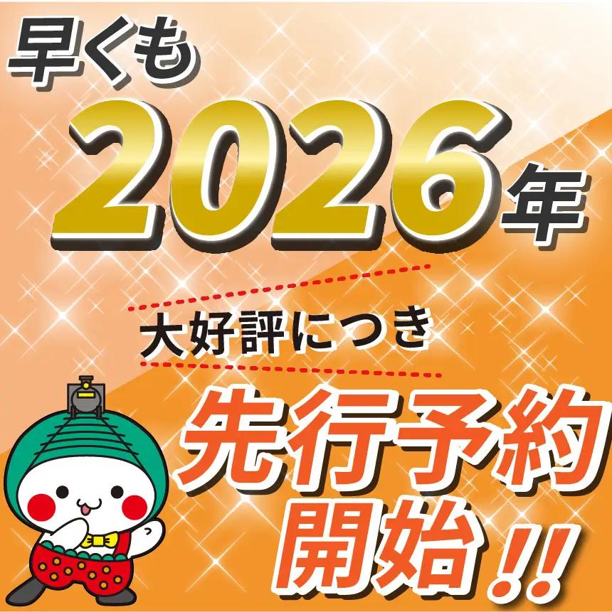 【2026年12月発送】先行予約 栃木のこでらんないイチゴ（とちあいか） 約300g×4