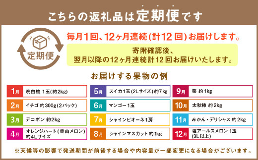 【12か月連続定期便】熊本の旬のフルーツお届け便 （Bコース） フルーツ 果物 くだもの 晩白柚 苺 デコポン みかん 柑橘 蜜柑 メロン すいか シャインマスカット 葡萄 ぶどう マンゴー 太秋柿 