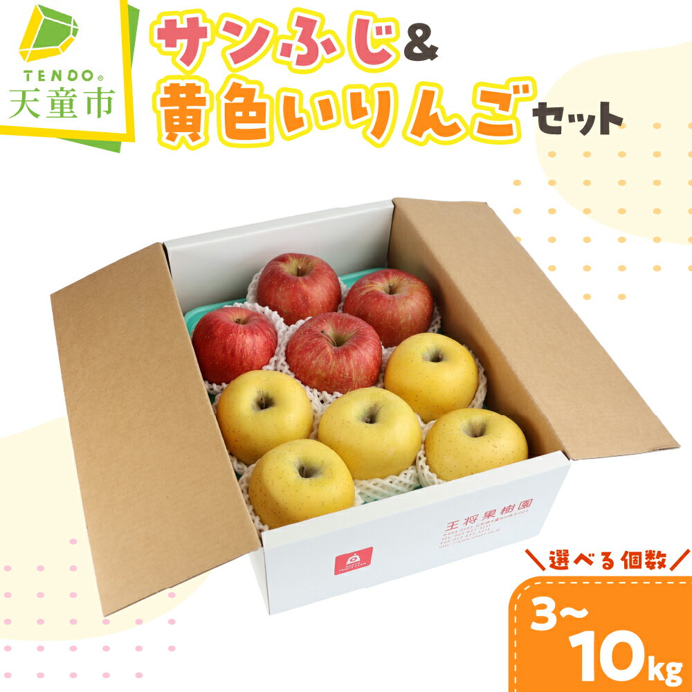 【ふるさと納税】サンふじ ＆ 黄色い りんご セット ( シナノゴールド または 王林 ) 選べる 3kg 5kg 10kg リンゴ 果物 フルーツ 秀 ご家庭用 のし 贈答 紅白 ギフト プレゼント おすそ分け お取り寄せ 旬 秋 冬 期間限定 送料無料 先行予約 【 山形県 天童市 】