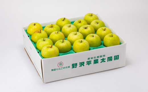 青森県産りんご「葉取らず王林」約5kg(家庭用)【配送不可地域：離島・沖縄県】