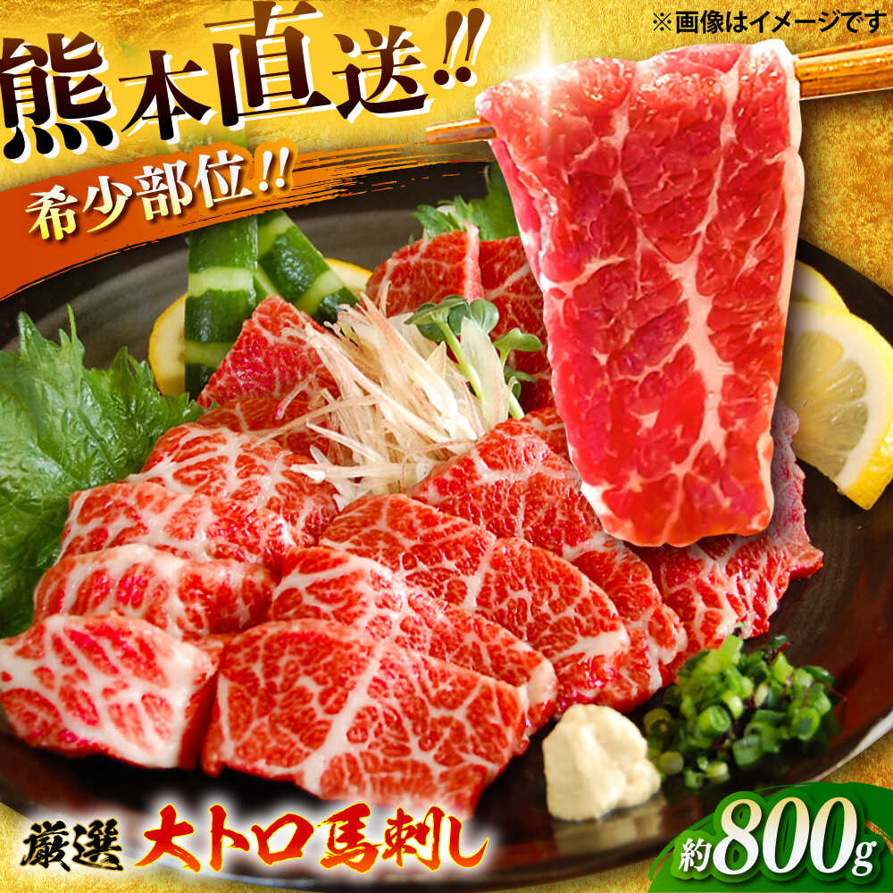 【ふるさと納税】厳選大トロ馬刺し 約800g 醤油 生姜付き 馬肉 馬刺し 厳選 希少 大トロ トロ ばさし 800グラム 8人前 熊本県 特産品 熊本 送料無料 冷凍 専用醤油付き 薬味付き 生姜 専用タレ付き ブロック 産地直送【有限会社菊陽食肉センター】[BHAC006]
