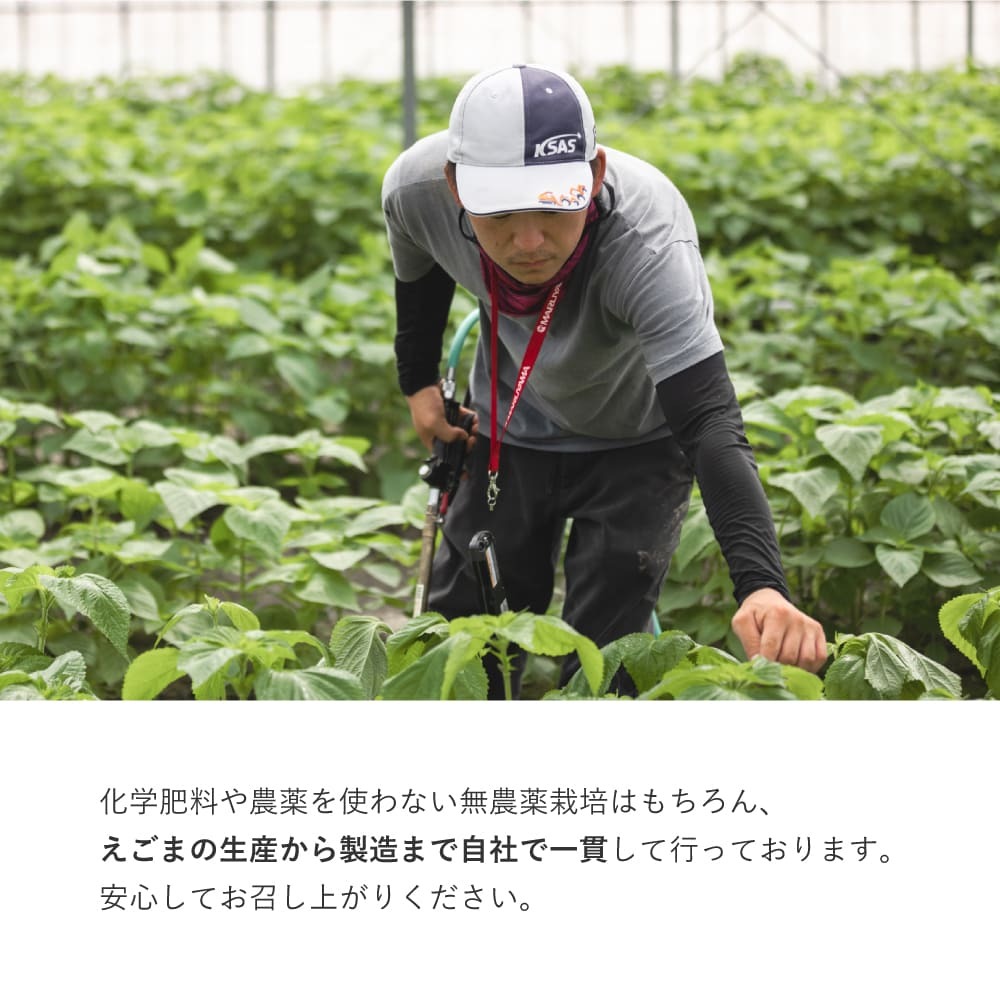 九州産えごま油 3g×25パック【えこびと 農園 九州産 国産 無添加 生搾り 栽培期間中無農薬 自社製造 えごま αリノレン酸】(H037123)