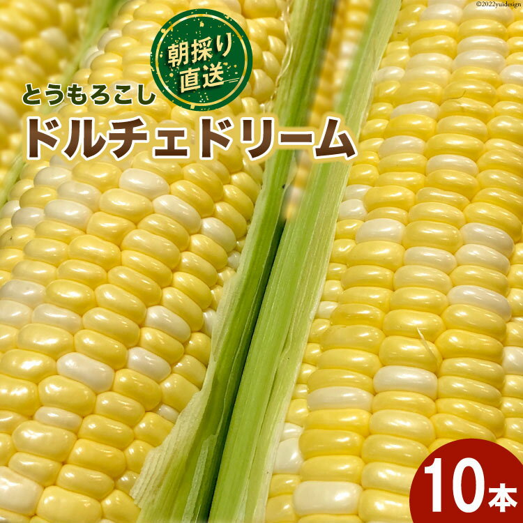 【ふるさと納税】【先行予約】とうもろこし ドルチェドリーム 10本 [マルヨシ園芸 山梨県 中央市 21470552] 朝採り 新鮮 期間限定 トウモロコシ 甘い ジューシー 野菜 産地直送【2025年6月下旬～7月上旬発送予定】