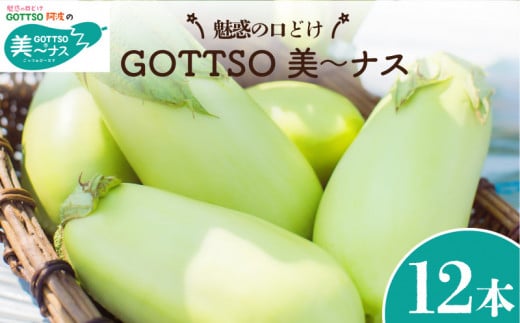 【先行予約】 野菜 ナス 美～ナス 12本 なすび 茄子 夏野菜 野菜 やさい 漬物 味噌汁 サラダ スープ カレー 麻婆豆腐 和食 洋食 中華 おかず おつまみ 惣菜 弁当 日用 ギフト 贈り物 プレゼント 焼肉 アウトドア BBQ 朝採れ 新鮮 産地直送 健康 美容 冷蔵 送料無料 徳島県 阿波市 MONTAふぁ～む