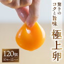 【ふるさと納税】感動 極上卵 120 個 割れ保証付き たまご カミヤタマゴ たまこちゃん 卵 鶏卵 玉子 たまごかけご飯 お取り寄せ 小分け 生卵 濃厚 ケーキ お菓子 づくり 高級 定期便 3ヶ月 6ヶ月 12ヶ月 卵かけご飯 TKG 卵料理 玉子 毎月 定期 幻 入手困難 人気 濃厚 120個