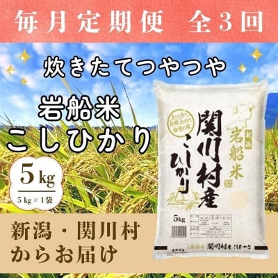 
            ＜毎月定期便＞炊きたてつやつや 新潟関川村産 岩船米こしひかり精米 5kg [星山米店]全3回【4079623】
          