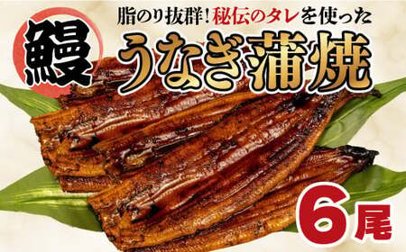 うなぎ 蒲焼き 6尾 約800g うなぎ うなぎ ウナギ ウナギ ウナギ