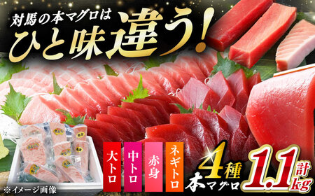 対馬産 本マグロ 4種 計1.1kg（赤身/中トロ/大トロ/ネギトロ）[WAH028] マグロ トロ 中トロ