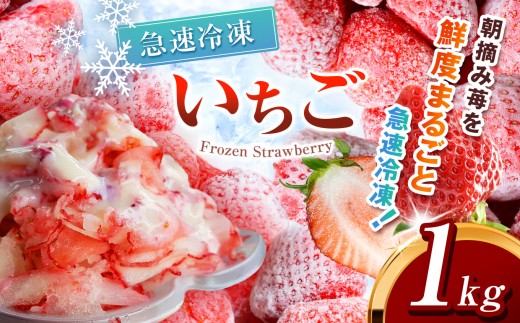 冷凍いちご ( とちあいか ) 1kg  | とちあいか いちご イチゴ 朝摘み 冷凍 ジャム カクテル スムージー フルーツ 苺 新鮮  ふるさと納税 日本一 栃木県 真岡市 送料無料 6000円