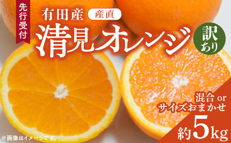 ZD92071_【2026年先行予約】【産直】有田産清見オレンジ 約5kg（訳あり家庭用サイズおまかせまたは混合）