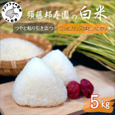 ふるさと納税 松浦市 須藤邦寿園の白米 コシヒカリ又はヒノヒカリ 5kg