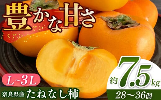 奈良のたねなし柿（約7.5kg）| フルーツ くだもの 果物 柿 かき カキ 刃根柿 平核無柿 奈良県 五條市