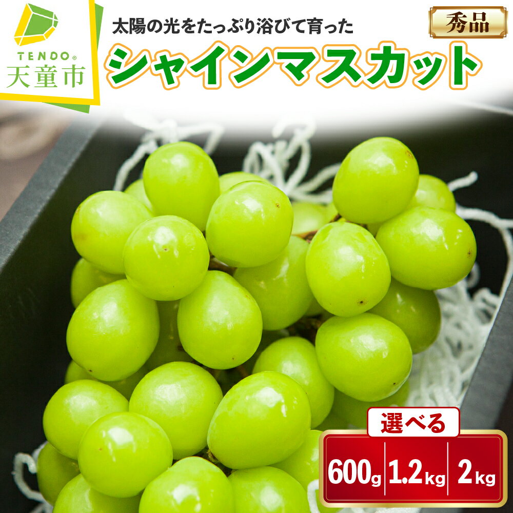 【ふるさと納税】 ぶどう ( シャインマスカット ) 約600g / 1.2kg / 2kg 山形県産 ぶどう ブドウ 葡萄 果物 フルーツ 秀品 1房;600～800g ご家庭用 のし 贈答 ギフト プレゼント おすそ分け 旬 秋 期間限定 冷蔵便 送料無料 先行予約 【 山形県 天童市 】