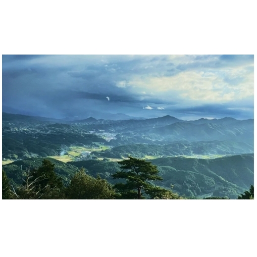 定期便12回 柚子 入浴剤  50包 (5包入×10個) ウェルネスフーズ UDA ふるさと納税 ゆず 無添加 有機栽培 おすすめ リラックス ストレス解消 ボディケア 肌荒れ改善 疲労回復 送料無料