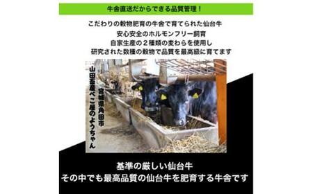 仙台牛 牛スジ煮込み 300グラム4個セット