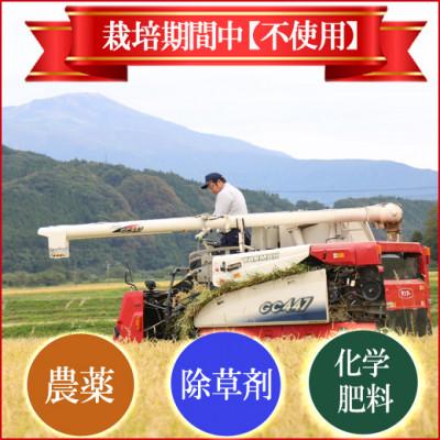 ふるさと納税 酒田市 【栽培期間中農薬不使用】ひとめぼれ 玄米5kg 大粒LLサイズ以上厳選【令和7年産】 |  | 02