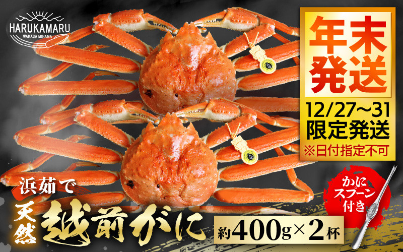
            【先行予約】≪浜茹で≫ 地物！天然！はるか丸厳選！越前がに 約400g × 2杯【年末発送12/27～12/31限定発送！】 獲れたて！茹でたてをお届けします！【冷蔵 本場の味 ボイル 越前ガニ 蟹 茹で ずわいがに ズワイガニ】[m36-x001_99]
          