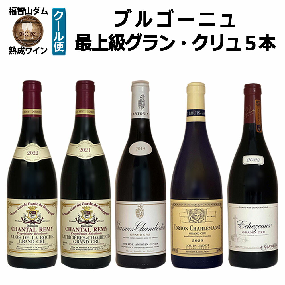 【ふるさと納税】【楽天限定】FD184 福智山ダム熟成 最高峰ブルゴーニュ グランクリュ 5本セット 各1本 750ml ワイン お酒 酒 アルコール ぶどう ブドウ 葡萄 飲料 詰め合わせ 詰合せ セット 冷蔵 福岡県 直方市 送料無料
