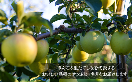サンふじ・ぐんま名月ミックス(約5㎏、優13~18玉)