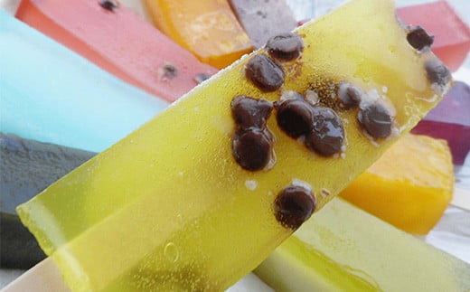 花巻市の老舗菓匠『丸文』 溶けない アイス  くずバー  10種×10本セット 【1288】