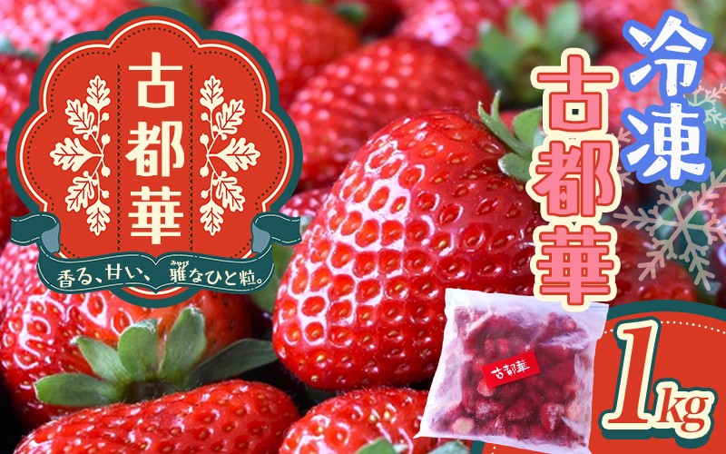 
                  古都華　冷凍いちご　1kg ／ 西田農園 ブランド いちご 苺 ことか フルーツ 果物 奈良県 葛城市【nsdf005】
                